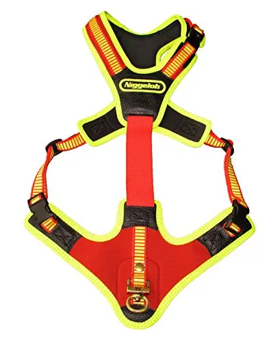 Arnés para Perros de Rastro 'Follow Trail', Naranja, Talla M