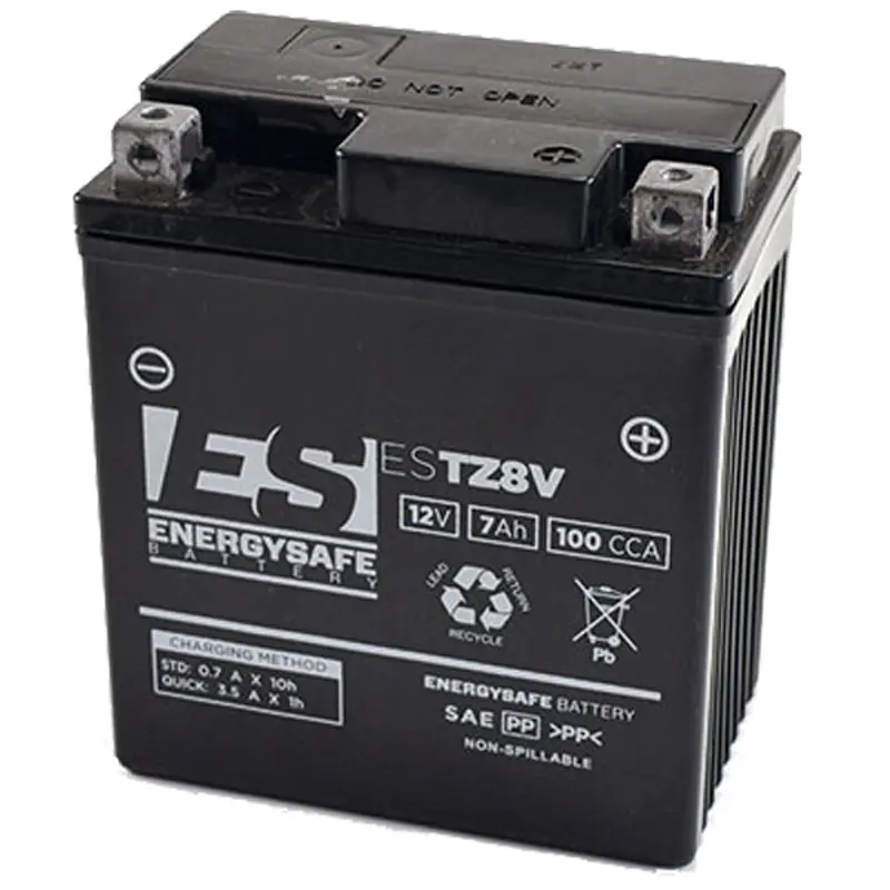 BATERIA ENERGYSAFE ESTZ8-V