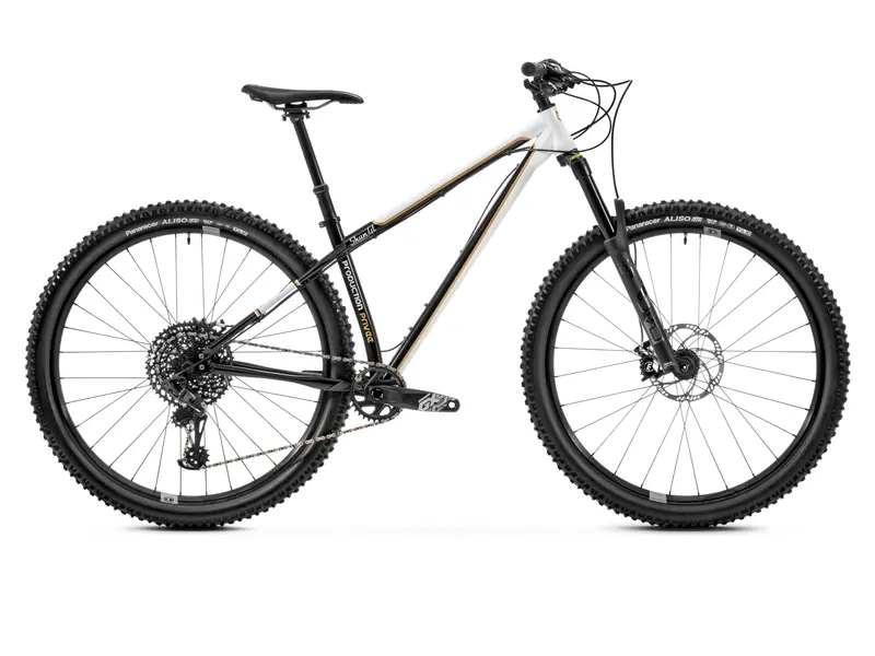 Bicicleta Production Privée GT Esprit