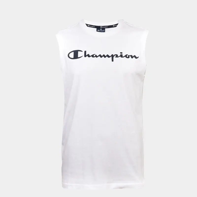 Champion Script Logo Cotton Terry Hodie