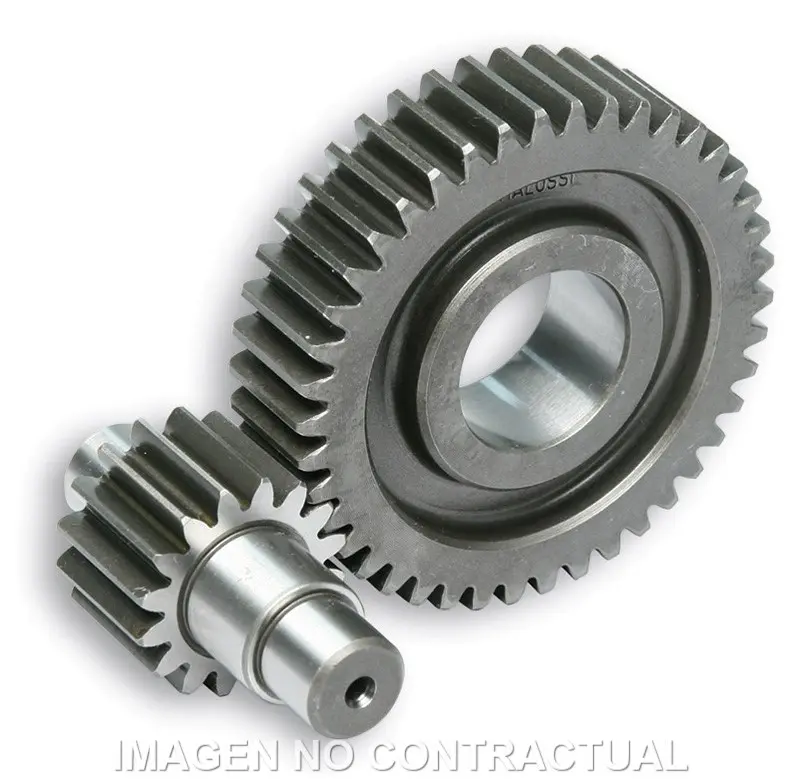 DESARROLLO SEC. LARGO C/JAULA D.17mm ZIP FAST RIDR