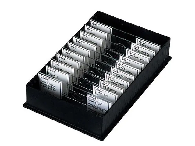 Konus Set 10 Muestras Microscopio Peces Ranas Anfibios - Preparaciones Zoología