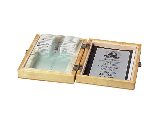 Konus Set 10 Muestras Microscopio Zoología Reptiles y Aves Modelo 4856