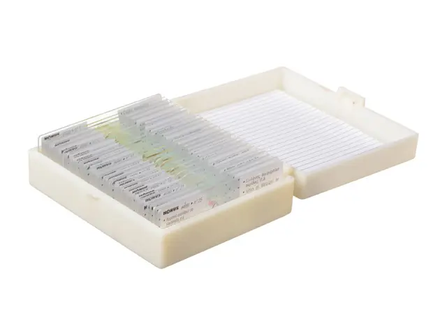 Konus Set 25 Muestras Para Microscopio Angioespermas Dicotiledóneas Magnoliopsida Modelo 4985