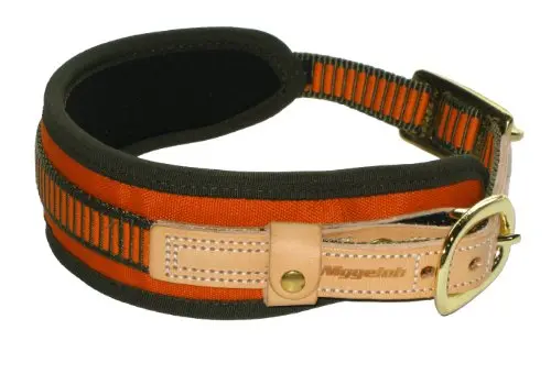 NIGGELOH Collar para Perros de Rastro, Naranja y Verde, Talla M