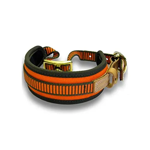 NIGGELOH Collar para Perros de Rastro, Naranja y Verde, Talla XS