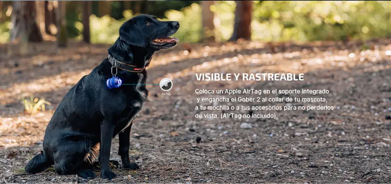 OLIGHT Gober Kit Azul - Luz de Señalización y Emergencia Profesional