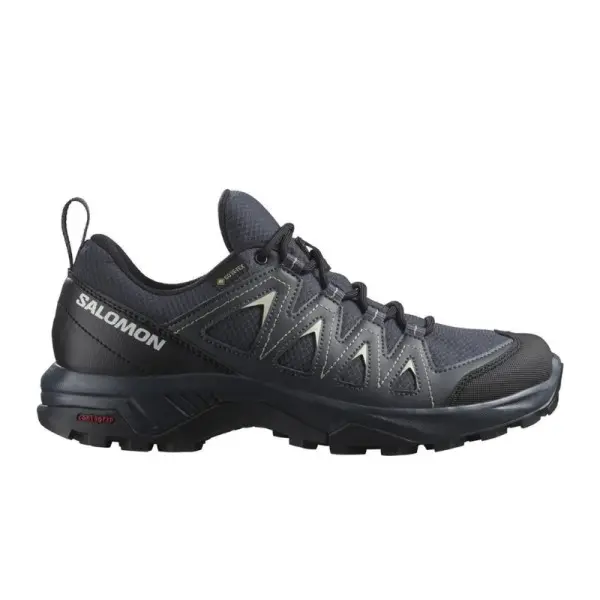 SALOMON X BRAZE GTX W