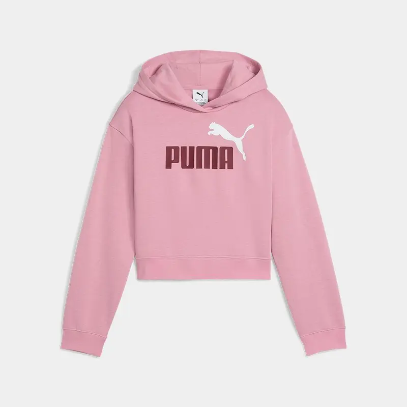 Sudadera Con Capucha Puma Ess 2 Logo