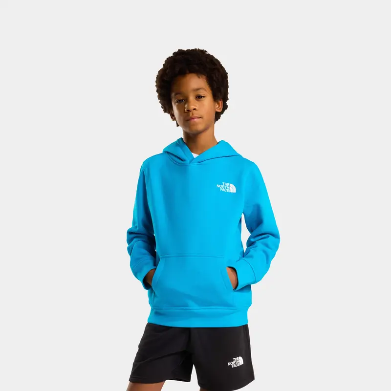 Sudadera The North Face Con Capucha Nse Box Junior Para Adolescentes