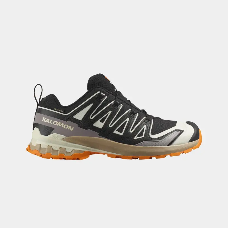 Zapatillas De Trail Running Xa Pro 3d V9 GorE-Tex